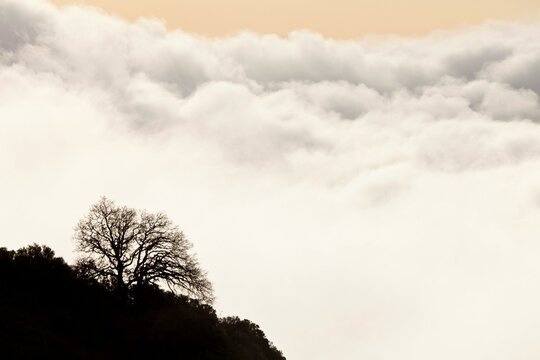 USA, California, Morning clouds, Mount Diablo State Park