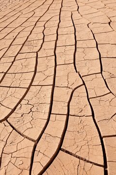 USA, Arizona, Painted Rocks Petroglyph Site, near Gila Bend, Dried up and cracked river bottom mud