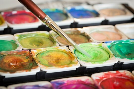 Paints and Brush