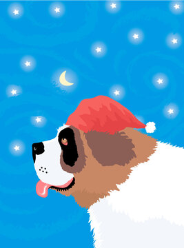 St. Bernard in Stars, Linda Braucht (b.20th C./American), Computer graphics