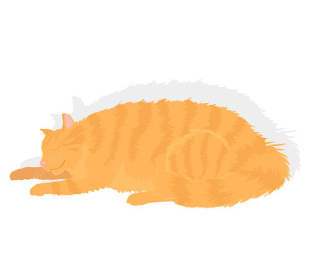 Yellow Tabby 2, Linda Braucht (20th Century/American), Computer Graphics