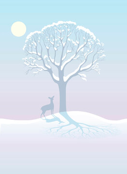 Winter Deer, illustration