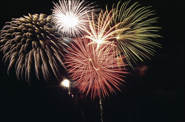 Fireworks display in the sky