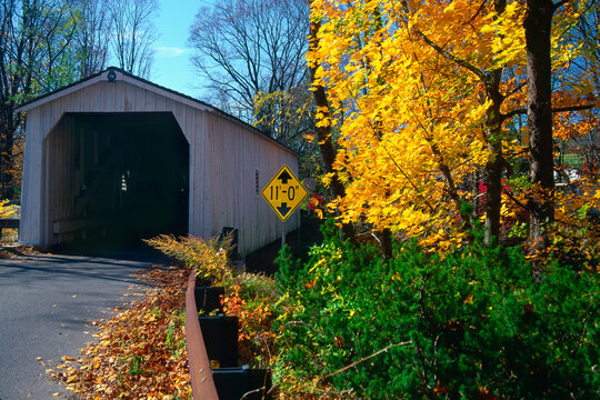 Covered bridge in a forest, Green Sergeant's Covered Bridge, Stockton, New Jersey, USA - Powered by Adobe