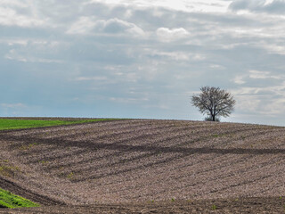 Ackerbau im Fr&uuml;hjahr