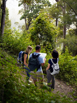 Adult hikers in wilderness