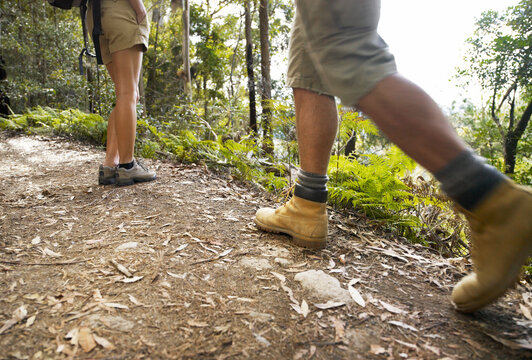 Adult hikers on path in wilderness