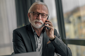 Portrait of senior business professional talking on mobile phone at office
