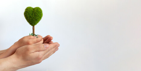 close-up of a man's hands and a child's hands holding a heart-shaped tree on a white background....