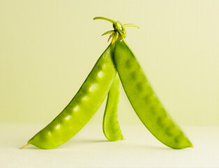 Three green snowpeas standing up on a light green background
