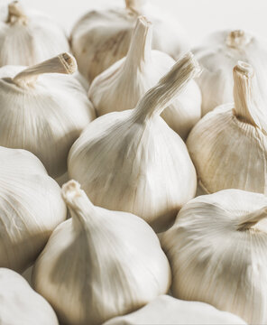 Bulbs of garlic