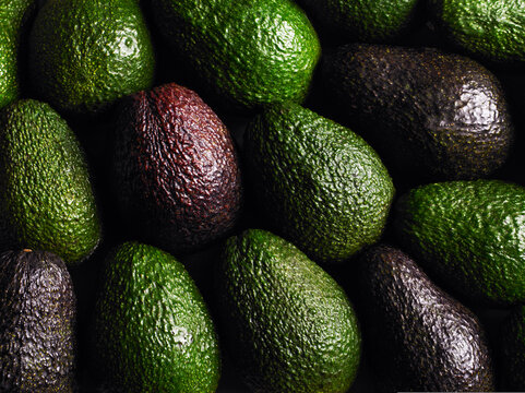 Close up of green and purple avocados