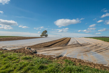 Feld mit Schutzfolie bespannt
