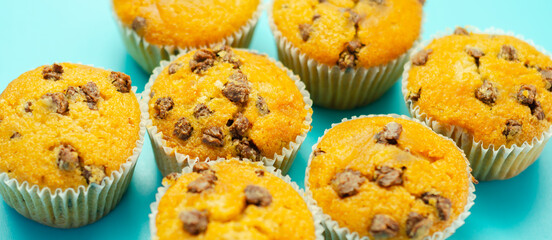 Delicious vanilla muffin cupcakes with chocolate chip, freshly baked mini pastries