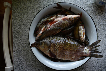 Fresh fish crucian carp and roach in a saucepan