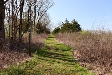 The empty grass path in the country on a sunny day.