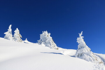 face enneigée en montagne , neige fraiche