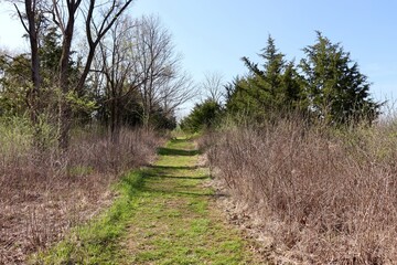 The long grass trail in the country on a sunny day.