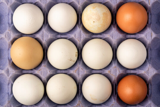 close up photograph of twelve free rang chicken eggs shot from above