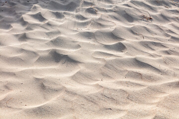 Sand background texture, close up view. Sandy beach, summer vacation