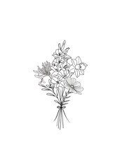 Line drawing flower design, cosmos flower, simple bouquet 