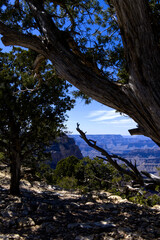  Grand Canyon - Rim Trail