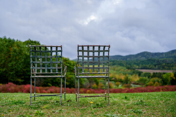 静かな丘の庭園の椅子