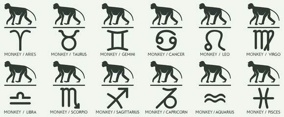 Vector Year of the monkey Animal icons eastern annual horoscope and zodiac signs in one symbol 2028 2040 2052 2064 years © d_v_a