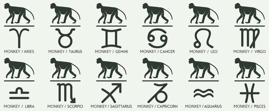 Vector Year of the monkey Animal icons eastern annual horoscope and zodiac signs in one symbol 2028 2040 2052 2064 years