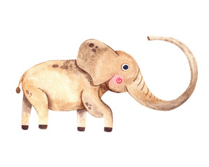 cute watercolor cartoon elephant illustration for kids print design