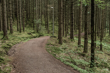 Gravel track going down a slope in a forest.
