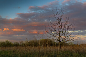 Niebo w niebieskiej godzinie