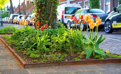adapt, adaptation, adapting, biodiversity, boomspiegel, boomspiegeltuin, cityscape, climate action,...