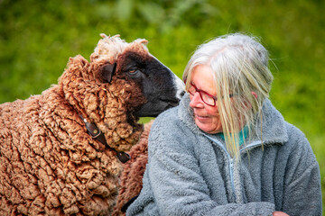 Woman with sheep, farm animals, outdoors, cute friends.