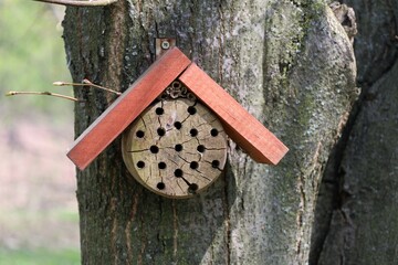  Mały drewniany domek dla owadów zawieszony na drzewie - obrazy, fototapety, plakaty