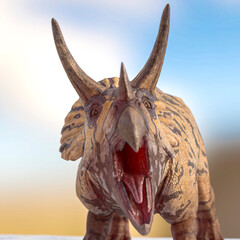triceratops is angry on snow background close up view