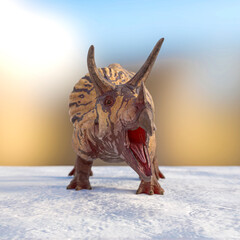 triceratops is angry on snow background © DM7