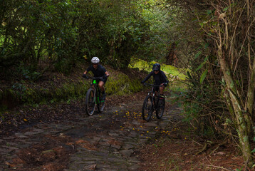 Two women cyclists climbing a trail in the middle of nature