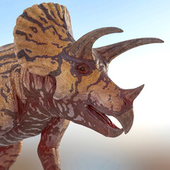 Obraz premium triceratops is happy and smiling on snow background