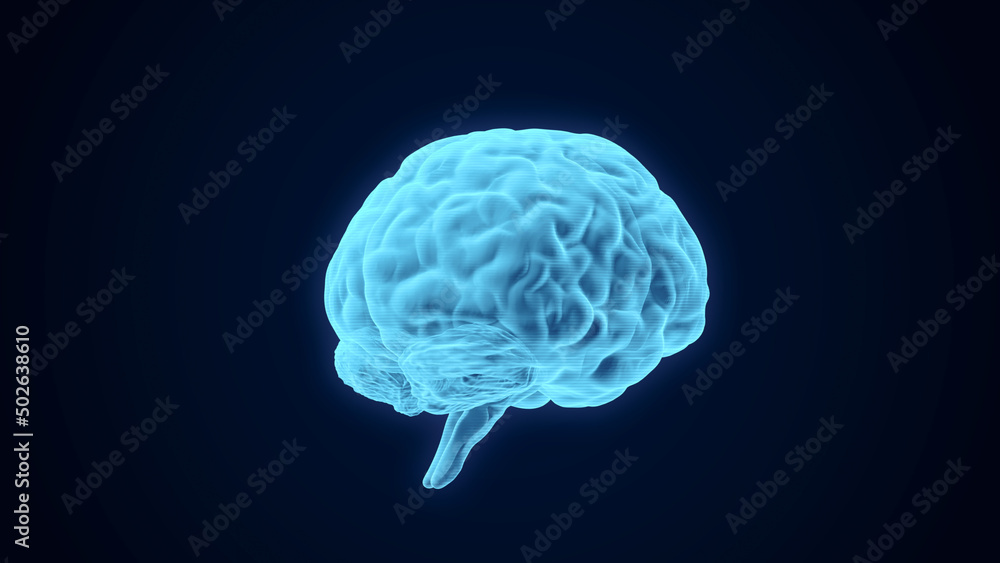 Aufkleber human brain transparent scan 3d rendering, futuristic digital mind neural network intelligence conce