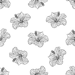 Vector seamless pattern linear hibiscus flowers on white background