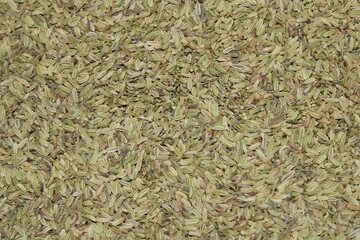 Organic dried fennel seeds background
