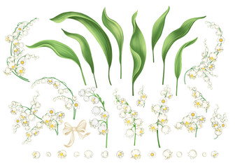Lily of the Valley Hand Drawn Watercolor Flowers. Spring set with leaves and floral elements. Botanical illustrations