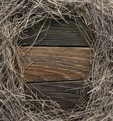 Composition close-up wooden background and natural product