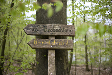 Schilder im Wald Beobachtung