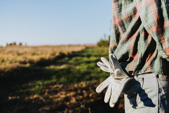 Unrecognizable Farmer Man With Gardening Gloves In His Back Pocket. Agricultural Sustainability Concept.