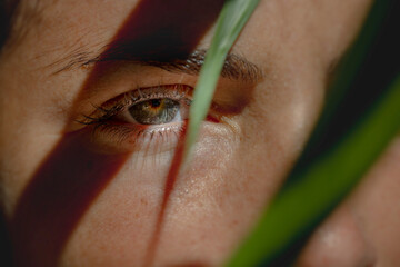Human Eye among palm tree leaf
