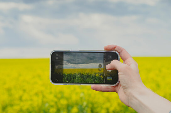 Hand holding phone taking picture of landscape with canola flower field in bloom with cloudy sky