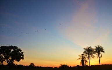 fim de tarde no pantanal 2