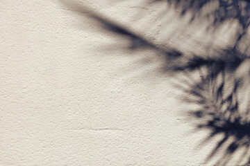 The shadow of a palm leaf on a concrete background. Summer holiday atmosphere.